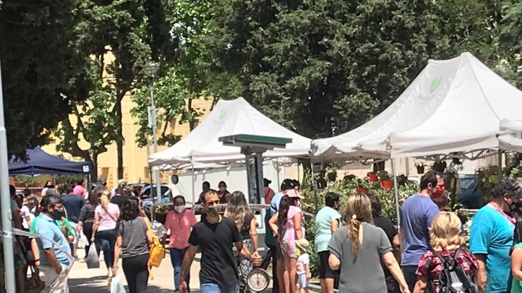 Con gran concurrencia se esta realizando la feria de frutillas y flores